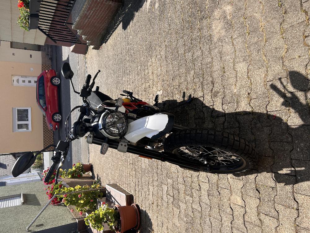 Motorrad verkaufen Ducati Desert Sled  Ankauf